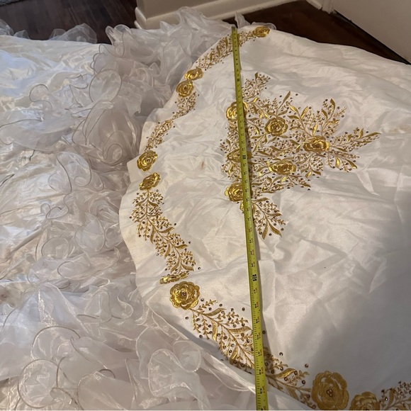 Quinceañera Adán Terriquez Additional Pictures Dress & Train Detail - Picture 11 of 17